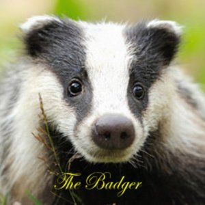 Meet your Posher, Rick